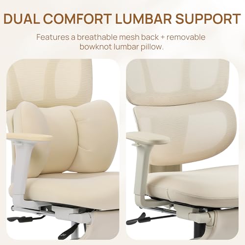 best ergonomic chair product comparison product image