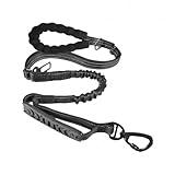 Domsimy Shock Absorbing Dog Leash for Large Dogs That Pull, Heavy Duty Bungee Leash to Prevent Pulling, 6FT No-Tangle Training Lead for Large Dogs up to 110lbs