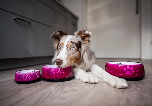 Hundenapf für Kleine und Große Hunde - Futternapf/Trinknapf S/M/L Rutschfest (M 1010ml für Mittlere Hunde, Pink)