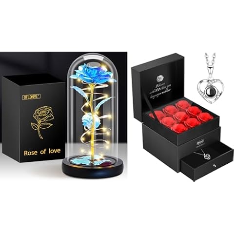Otlonpe Rose Flower in Glass Dome + 9 Roses Flowers with Neckless in a Box, Womens Gifts for Birthday, Christmas, Anniversary, Wedding, Valentine's Day, Mother's Day Cover