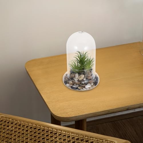 Bouteille en verre borosilicaté trou 8mm pour embellir votre bureau de verdure - 6