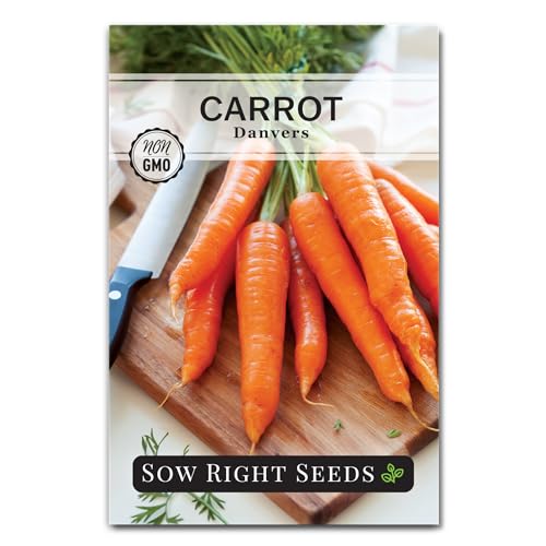 Sow Right Seeds - Danvers 126 Carrot Seeds for Planting