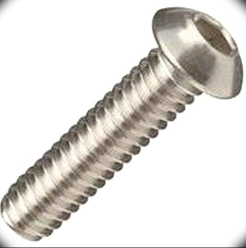 Stainless Steel Button Head Socket Cap Screw Kit Inch 5/16-24 x 1-1/2 - (10 each)