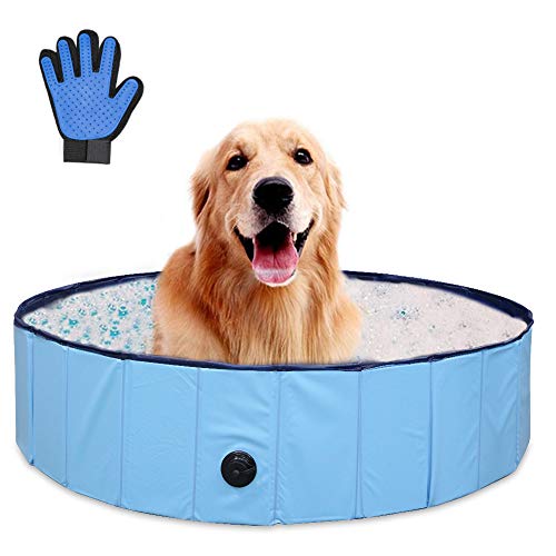 Discover the Best Dog Wash Products for a Cleaner Pooch!