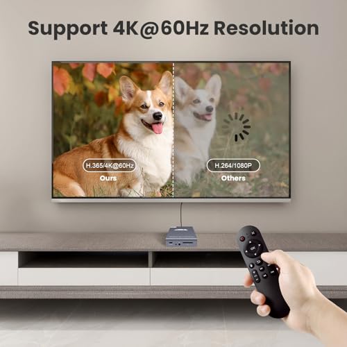 4K Digital Media Player & HDD Enclosure 2-in-1, 4K@60Hz Ultra HD TV MP4 Video Player for USB Type-C Drive/SD Card, Digital Signage, H.265/HEVC, Looping Auto Playback, HDMI/AV Output