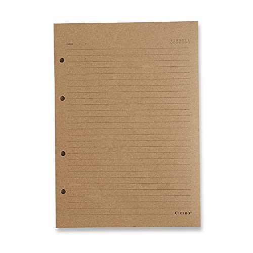 Refil Caderno Criativo Argolado 30Fls Kraft 75G Pautado 17X24, Cicero