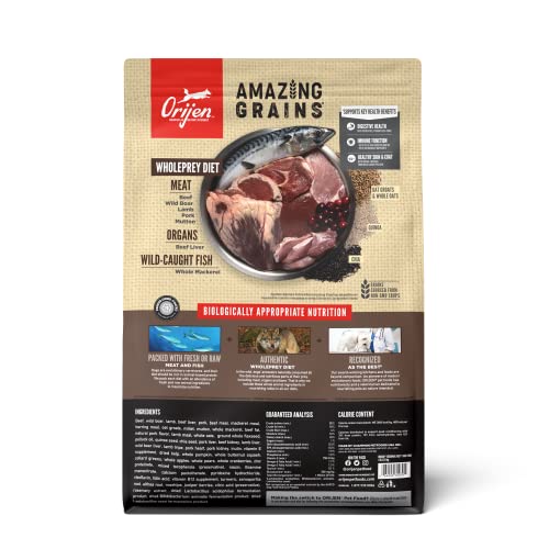 ORIJEN Amazing Grains Regional RED Dry Dog Food, High Protein Dog Food for All Life Stages, Fresh or Raw Ingredients, 4lb - Image 3
