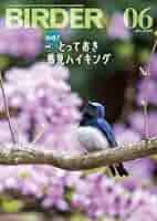 BIRDER (バ ーダ ー) 2006年02月号 Amazon.co.jp: BIRDER (バーダー) 2024年 06月号 [雑誌] eBook
