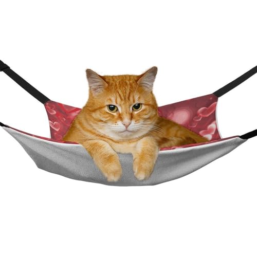 Hamac pour chat suspendu pour cage et chaise lit réglable anti-stress