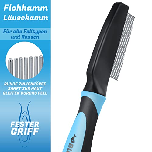 BluePet Robuster Flohkamm & Läusekamm Für Hunde & Katzen I Flöhe, Läuse & Zecken entfernen I Sanfte abgerundete Zinken I Als feiner Hundekamm, Staubkamm, Nissenkamm nutzbar