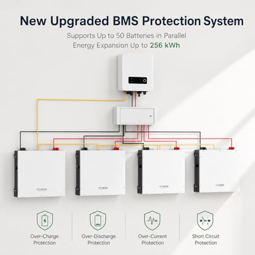 Image of Dyness 48V 100Ah LiFePO4 Lithium Battery, 5.12kWh with 100A BMS, Wi-Fi Monitoring, CAN /RS485, 6000+ Cycles, 5.12kW Power Server Rack Battery for Solar, Off-Grid & Home Backup Power