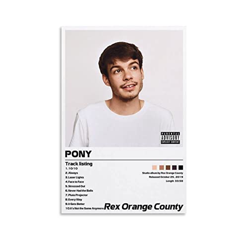 Toile PONY 4 Rex Orange County idée cadeau originale pour chambre