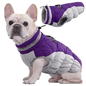 Kuoser Dog Winter Coat Waterproof Cold Weather Warm Jacket for Small Medium Large Dogs Cozy Fleece Lined Puppy Winter Vest with Fur Collar Reflective Zip Up Pet Apparel Outdoor Clothes, Purple