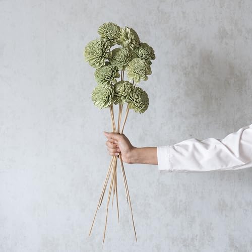 Image of Sola Belly Flower Garden Green 8 cm On Stem (10 Sticks) | Natural Dried Flower |Eco-Friendly Flowers for Home,Office,Bedroom,Table Decoration and Craft Items Corner