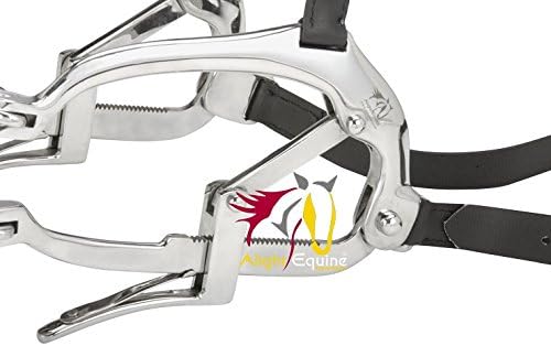 2000 Series Millennium Speculum