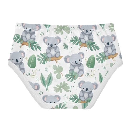 Cute Koala Toddler Girls's Underwear 2T 202b33082