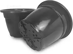 Vaso Pote 25 Plastico 5 Litros Plantar Flores Rosas 10 Und