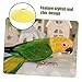 UPKOCH Parrot Protective Collar Pecking Cone for Birds Adjustable Neck Band for Parrots M Size Prevents Biting and Plucking for Recovery and Comfort