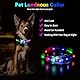 YUSHANG Leuchthalsband Hund,Wiederaufladbar Wasserdicht Hundehalsband Leuchtend LED,2-in-1 Schnalle Typ Hundehalsband Leuchtend.für Große Mittlere Hund- XL(10-25 * 0.98 Zoll Länge schneidbar)