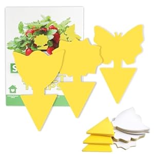 30 stück Gelbsticker Trauermücken Bekämpfen, Gelbtafeln für die Zimmerpflanzen Schädlingsbekämpfung, Schutz vor Thripse und Fliegende Schädlinge im Garten, auf Balkon