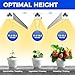 Barrina Grow Lights for Indoor Plants, Full Spectrum Sunlight, 1FT White Cover Plant Growing Lamp, LED Grow Light Bulbs, T5 Grow Light Strip, Plug and Play, Yellow, 4-Pack