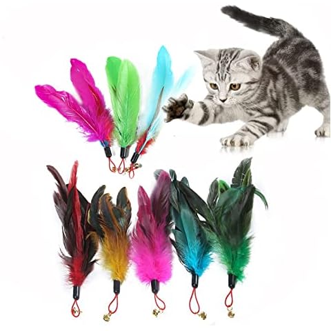 SHULLIN 8 Stück Interaktive Katzen Spielzeug Ersatzfedern Katzenspielzeug Katzenspielzeug Federn Feder Anhänger Feder federspielzeug Katze Wurm Teaser Cover
