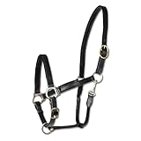 lederhalfter schwarz  WALDHAUSEN Lederhalfter Robust, schwarz, WB, schwarz, Warmblut