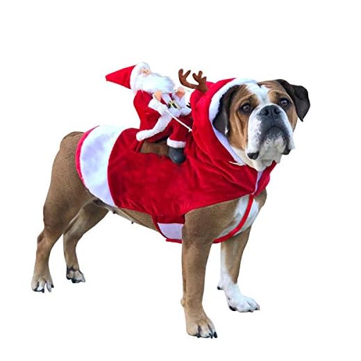 semen Chien Chat Costume Déguisement Animal Noël Décoration Motif Imprimé Pet Costume Rouge (L, Rouge)