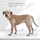 Katzinst 2er Pack UV Hundeshirt für Mittlere Hunde, Sonnenschutz Elastisches Ärmellose Sommer Shirt für Beagle,Gehen, Laufen (Grün, Khaki XL)