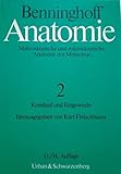  ANATOMIE 2 - Kreislauf und Eingeweide