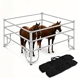 10×10 Spring Latch Corral