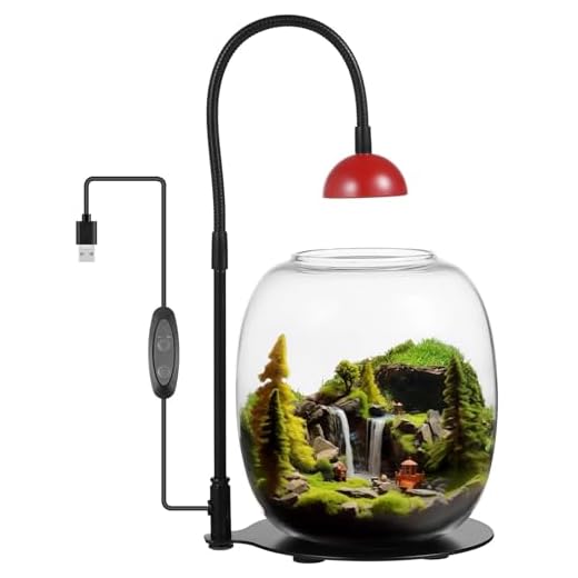 Tressify Terrario de vidrio con luz LED ajustable, luz de cultivo de plantas alimentada por USB para suculentas y musgo, decoración de escritorio interior