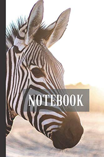 Zebra Notebook: Small lined Zebra notebook - Travel Journal to write in - 120 pages - 6"x9"