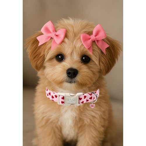Image of Valentine's Dog Collar, UP URARA PUP Pink Love Heart Adjustable Pet Collar with Bowknot Charm, Adorable Wedding Dog Accessories for Small Medium Large Dogs