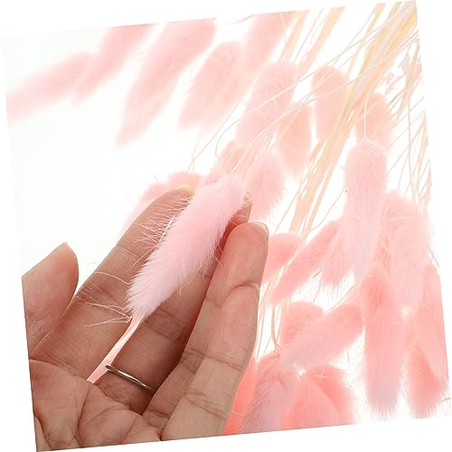 120 piezas de hierba seca natural cola de conejo para decoración miniatura 5