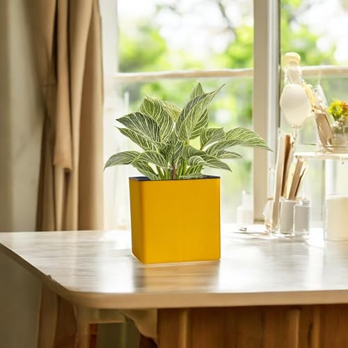 Image of Indian Discovery Self Watering Wall Hanging Planter|Hanging /Hooked Flower Pots for Home, Balcony, Vertical Garden Decor Flower Pots(1 PC, Yellow, Square) |6 Inch UV-Resistant Plastic Plant Pots