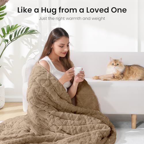 Image of Drewin Weighted Blanket for Adults Queen Size 20lbs, Soft Cozy Jacquard Sherpa Weighted Blankets for Sleeping and Calming, Fluffy Throw Blanket for Couch Bed, 60 x 80 inches, Brownish White