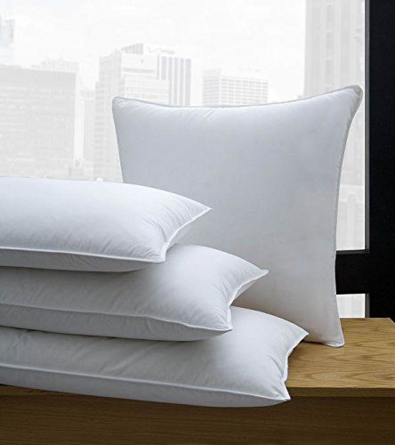 Almohada Algodón Orgánico Queen Polysilk Hipoalergénica