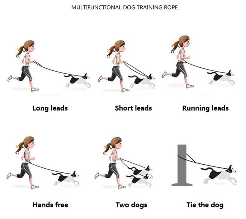 Pettorina anti-tiro per cani – Soluzione di addestramento per il controllo degli animali domestici e per camminare comodamente