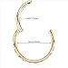 LunaLoop Gold Nose Rings Hoops for Women Silver Septum Rings 16g 8mm/10mm Nose Piercings Jewelry 316L Surgical Steel Conch Rook Helix Piercing Jewelry CZ Cartilage Hoop Earring for Men