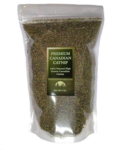 West Coast Pet Products Catnip (4 oz Coarse Cut) Fresh Premium Canadian Catnip, for Cats & Kittens, Interactive Cat-Nip Play Treats