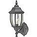 Thomas Lighting SL92237 Covington Outdoor Wall Lantern, Black