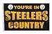NFL Pittsburgh Steelers 3-by-5 Foot "In Country" Flag