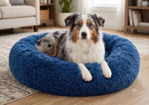 Image of ZEXSAZONE Round Donut Pet Bed for Cats and Puppies Dogs, Cozy and Plush, Raised Bedside Support, Both Sides Use Like 2 in One, Washable, Sizes for Small, Medium, and Large Pets. (Blue, Medium)