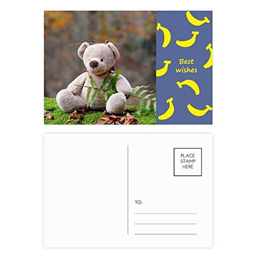 Jeu de cartes postales nature ours en peluche DIYthinker 20pcs multicolore pour remerciements