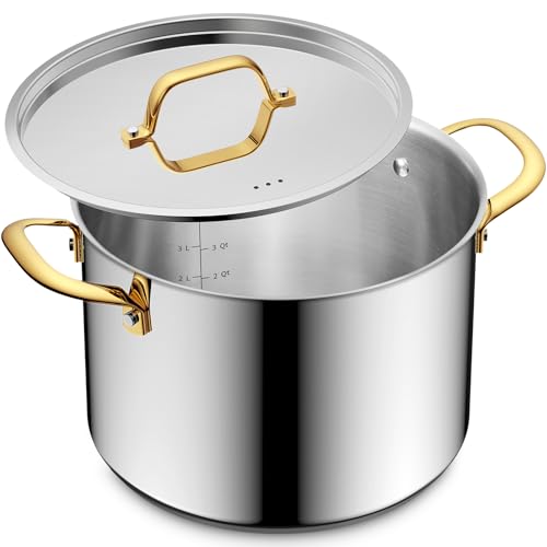 12 Quart Stainless Steel Stockpot with Lid, Pasta & Soup Pot for Canning, Stews