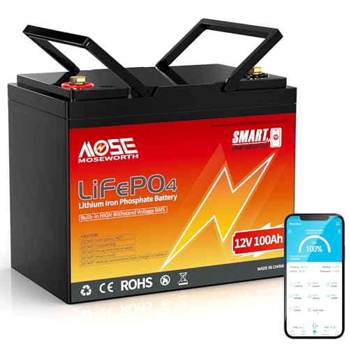 12v 100ah Lifepo4 Lithium Battery With Bluetooth- Built-in Bms Low-temp Prote...