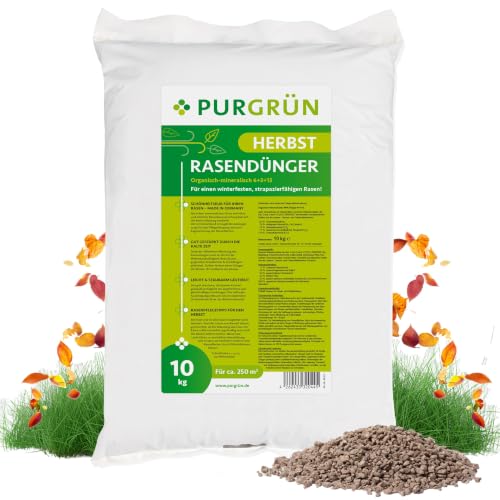 Purgrün® Herbstrasendünger 10 kg für 250 m² – Extra Kalium schützt vor...