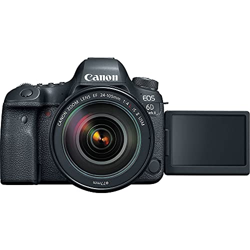 Canon EOS 6D Mark II DSLR con lentes 24-105mm y 50mm miniatura 6