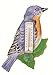 Songbird Essentials SE2170739 Bluebird on Branch Small Window Thermometer (Set of 1)